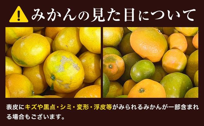 訳あり 熟成みかん 1.9kg or 4.5kg or 10kg 《1月上旬-3月上旬頃出荷》徳島 柑橘 ミカン 蜜柑 フルーツ 青果物 大容量 お試し 徳島県 佐那河内村---sanagouchi_lcl_40_1900g---