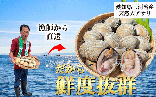 岬だよりの＜天然＞大あさり釣り餌用 6個入り×4袋セット