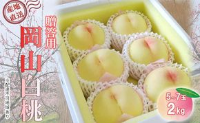 【桃 2026年 先行予約】贈答用 岡山白桃 約2kg(5～7玉) もも モモ 岡山県 国産 フルーツ 果物