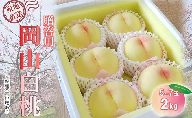 【桃 2026年 先行予約】贈答用 岡山白桃 約2kg(5～7玉) もも モモ 岡山県 国産 フルーツ 果物