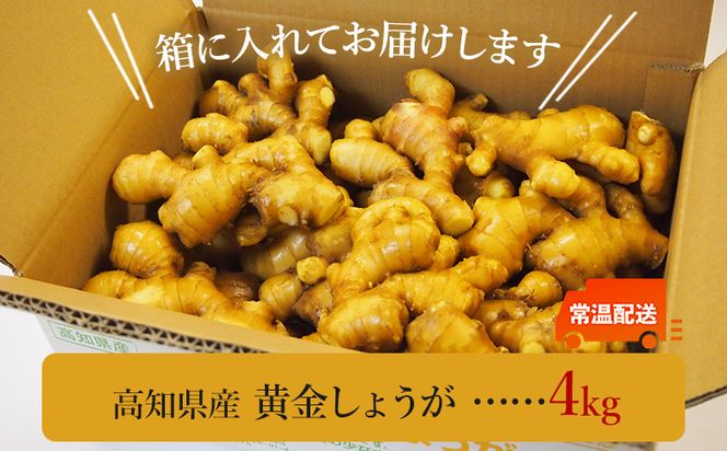 しょうが4kg 生姜一筋70年の生姜老舗問屋 黄金 Xnb-0008