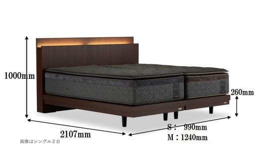 フランスベッド テレス02C 脚付きタイプ シングル／セミダブル マットレス付き／フレームのみ