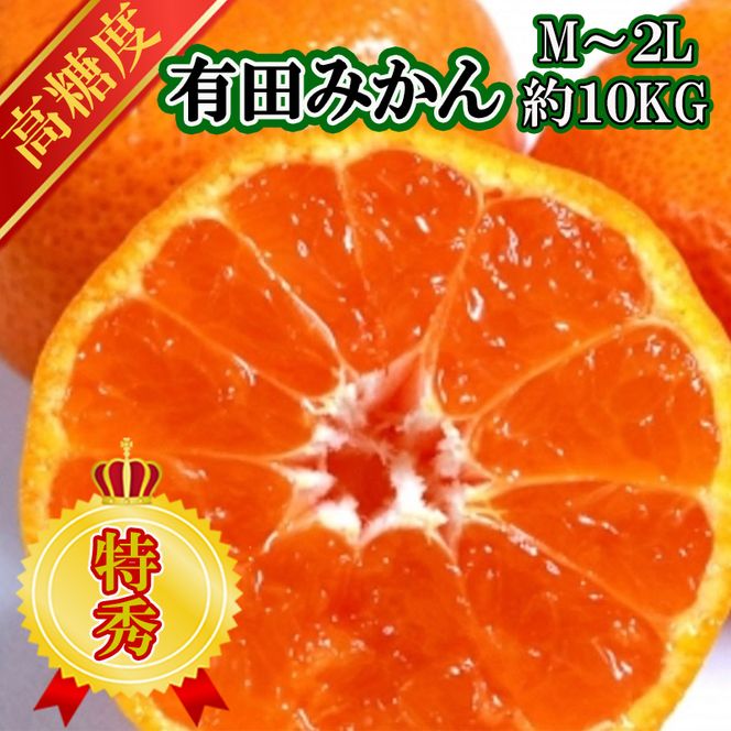 【先行予約】【特秀品】有田みかん 和歌山県産 約10kg（M～2Lサイズ混合）