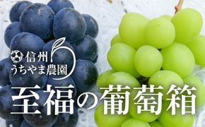 【秋に届く】至福の葡萄箱 合計1kg以上！ (シャインマスカット、ナガノパープル 各1房)《信州うちやま農園》■2025年発送■※8月中旬頃～10月下旬頃まで順次発送予定