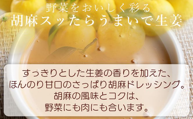 土佐の調味料(ゆずマヨ・ゆずドレッシング・ごまドレッシング)セット 合計4本 - セット 詰め合わせ 調味料 マヨネーズ 柚子 胡麻 ドレッシング 甘口 オリーブオイル 加工品 サラダ 野菜 しゃぶしゃぶ 高知県特産品販売 高知県 香南市 kc-0005
