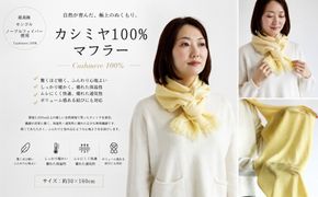 G3328 『Noble Fibre』100％カシミヤ・マフラー レモンイエロー【高級 カシミア おしゃれ ファッション 防寒 かしみあ】