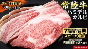 ＼ 選べる 内容量 ＆ スピード発送 ／【 常陸牛 】A5 等級 ハミデルカルビ 300g 500g 1kg ひたちぎゅう ブランド牛 カルビ 国産牛 黒毛和牛 和牛 国産黒毛和牛 お肉 A5ランク 高級 BBQ パーティ (茨城県共通返礼品)