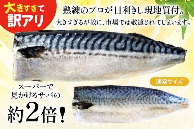 訳あり トロ塩サバ フィレ LLサイズ 3kg ★フィレ1枚230g超え！[足利本店 宮城県 気仙沼市 20565620] 魚介類 魚 海鮮 鮮魚 サバ さば 鯖 サバフィレ サバフィーレ 鯖フィレ トロサバ 訳アリ わけあり 切り身 冷凍
