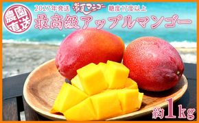 【2027年発送】最高級　常夏アップルマンゴー！糖度17度以上　約1kg農園から直送