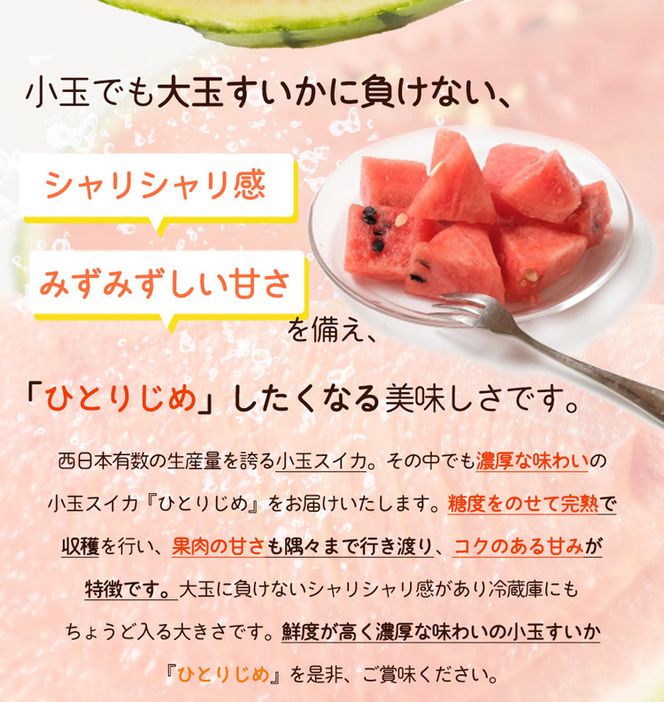 紀州 和歌山産 小玉スイカ 「ひとりじめ」  1玉 約1.8kg 