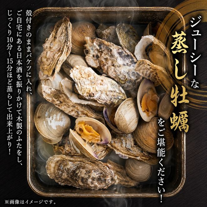 元祖 厚岸バケツ牡蠣セット12個 北海道 牡蠣 カキ かき 魚介類 シーフード マルえもん