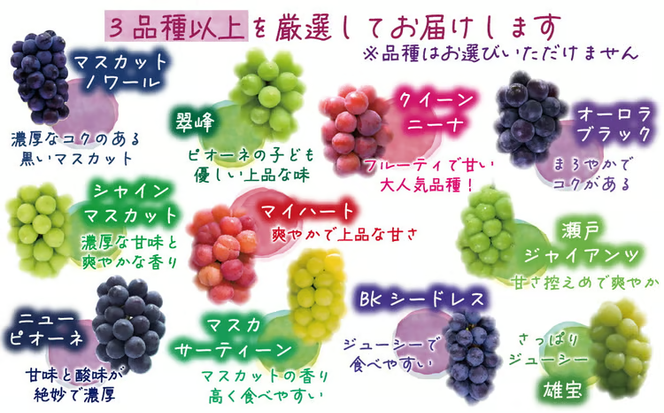 【2026年の先行予約！】 訳あり ぶどう 花笑み農園おまかせ3種以上（約１kg） / ぶどう 詰め合わせ 食べ比べ シャインマスカット ピオーネ クイーンニーナ オーロラブラック 瀬戸ジャイアンツ 翠峰 BKシードレス マスカサーティーン マスカットノワール 雄宝 マイハート 岡山 真庭市 【hana018-02】