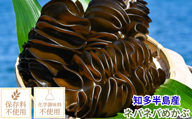 ＜愛知県産＞めかぶ刻み(100g×3袋)