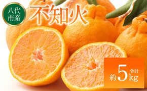【先行予約】 不知火（デコポンと同品種） 約5kg しらぬい でこみかん 柑橘 ミカン ポンカン くだもの 果物 フルーツ 【2026年1月下旬より順次発送】