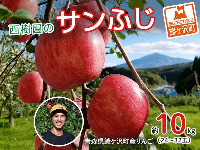 《先行予約》 りんご 特選 サンふじ 青森県産 約 10kg  (24～32玉） フルーツ 果物 ふじ 産地直送 お取り寄せ 送料無料 青森県 鰺ヶ沢町 《西樹園》