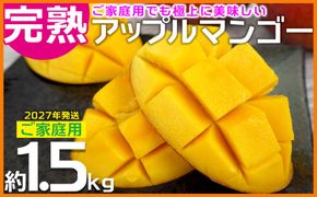 【2027年発送】ご家庭用でも極上に美味しい完熟アップルマンゴー約1.5kg 農園直送！