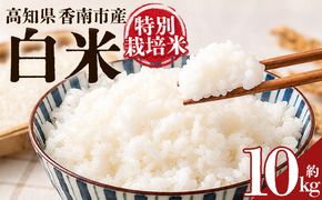 令和８年度産 白米（特別栽培米）10kg ka-0003