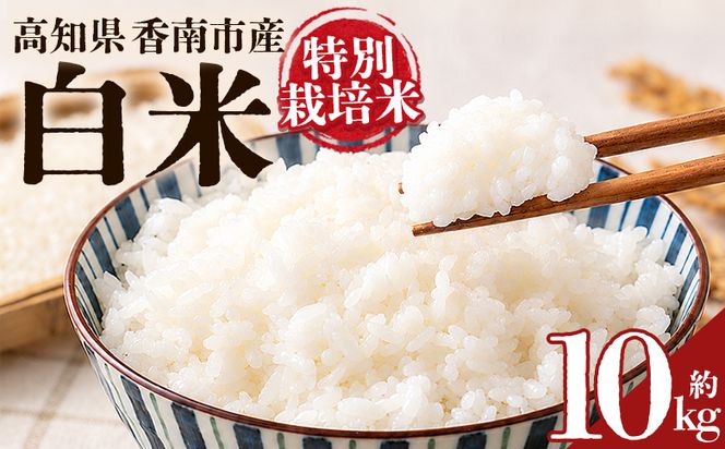 令和８年度産 白米（特別栽培米）10kg ka-0003