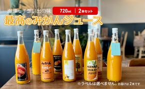 海津っ子の想い出の味　最高のみかんジュース　2本セット 果汁飲料 野菜飲料 