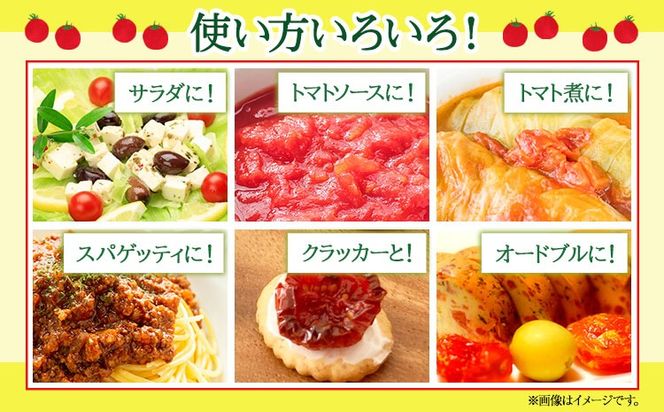 ドライミニトマト セット 60g トマト ミニトマト 野菜 GTOファーム 熊本県 南阿蘇村《7月上旬-10月末頃出荷》---sms_gtodmt_af710_26_4500_60g---