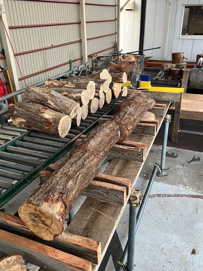 クヌギ薪 35cm 20kg 乾燥 焚き火・薪ストーブにぴったり 242161_ET001