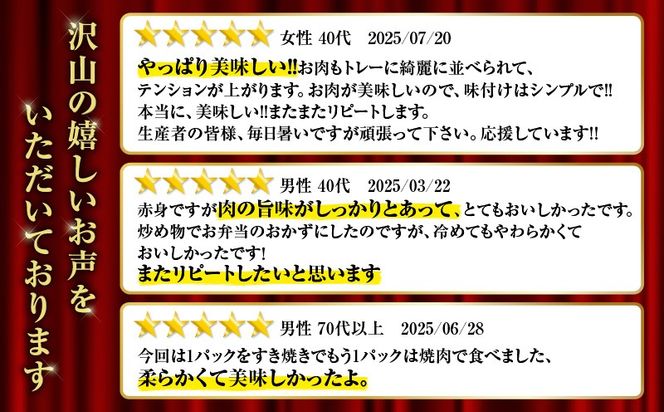 【10営業日以内に発送】鹿児島県産黒毛和牛赤身スライス 620g（310g×2P）　K086-048