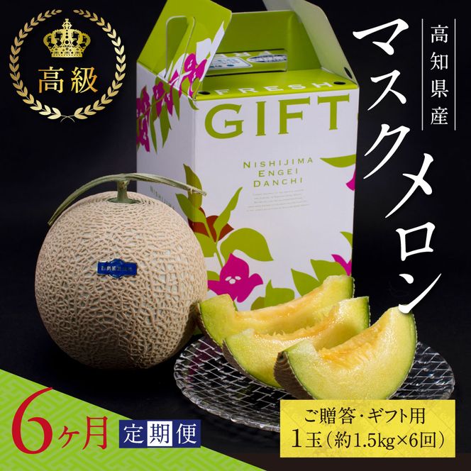 【CF-R7hbk】t063sks　《6ヶ月定期便》高知県産 高級マスクメロン（ご贈答・ギフト用）1玉入 【発送期間：4月～12月（9カ月）】【1月～3月は気候温度不安定の為出荷不可となります。】〈南国市共通返礼品〉