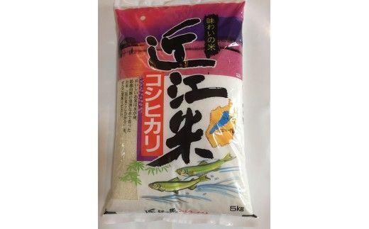【新米　先行予約】令和8年産近江米こしひかり【5kg×1袋】【T037W】