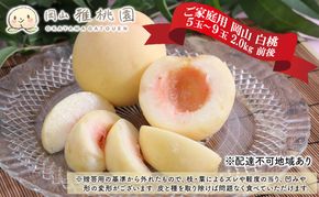 桃 2026年 先行予約 ご家庭用 岡山 白桃 5玉～9玉 2.0kg 前後 もも 岡山県産 国産 フルーツ 果物 雅桃園