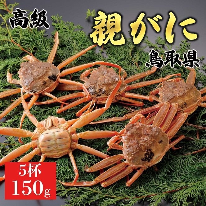 y挧khz1062.y2025N11z挧Y  e pyZRKjziȂ܁j150g@5t 313726_BS058