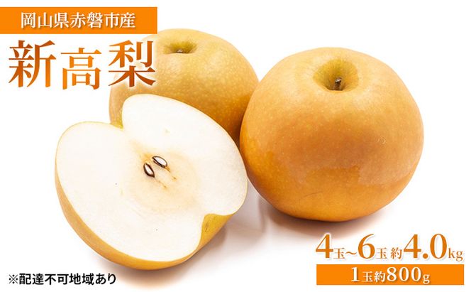 梨 2026年 先行予約 新高梨 4玉～6玉 約4.0kg（1玉約800g）岡山県赤磐市産【配達不可：離島】 なし フルーツ 果物 ナシ 果物類 
