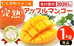 【先行受付】【2026年発送】しらかわファームのアップルマンゴー 秀 約1kg - 先行予約 沖縄 産地直送 南国フルーツ 旬の味覚 旬のフルーツ 贈り物 ギフト 沖縄県 八重瀬町