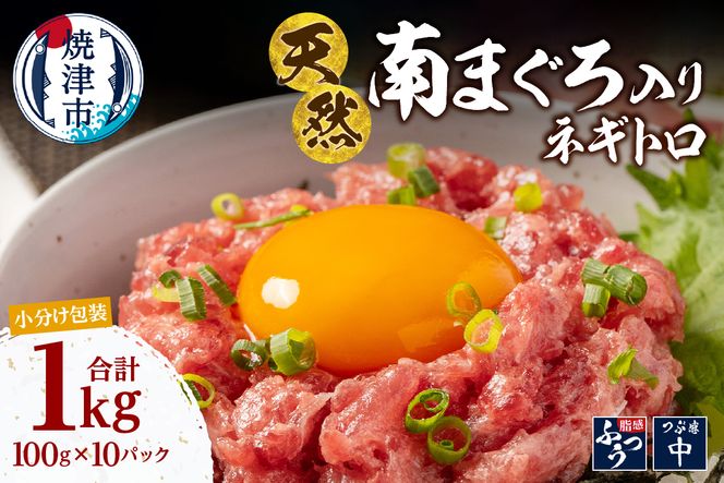 a12-277　南鮪入り 焼津 海の極 ネギトロ 小分け 計1kg 100g×10パック