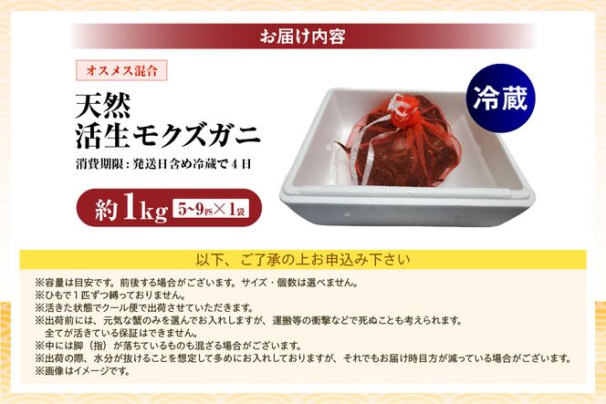 【天然 活生モクズガニ 約1kg 冷蔵】 国産 かに カニ 蟹 天然 活 生 モクズガニ もくずがに 川ガニ 川がに 人気 大人気 おすすめ 返礼品 ふるさと納税 兵庫県 香美町 香住 山米鮮魚 74-32