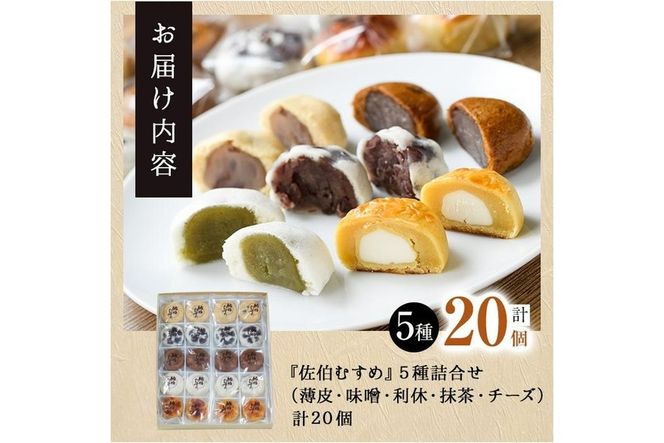 ひとくちまんじゅう 佐伯むすめ (計20個・5種×4個) 饅頭 饅頭 ひとくち 一口 薄皮 みそ 黒糖 抹茶 チーズ スイーツ お菓子 おやつ 焼き菓子 和菓子 詰め合わせ 個装 常温 大分県 佐伯市【AG95】【 (株)お菓子のウメダ】