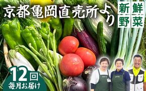 野菜 定期便 直送 12回 朝採れ 7～10品目 京都丹波 亀岡 佐伯の里 訳あり生活応援 家計応援 ※北海道・沖縄・離島への配送不可