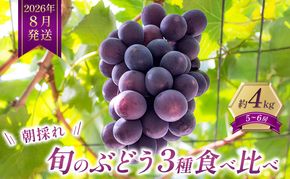 8月限定｜採れたて旬のぶどう 食べ比べ 約4kg（5～6房）セット 詰合せ 産地直送 フルーツ  兵庫県 加西市