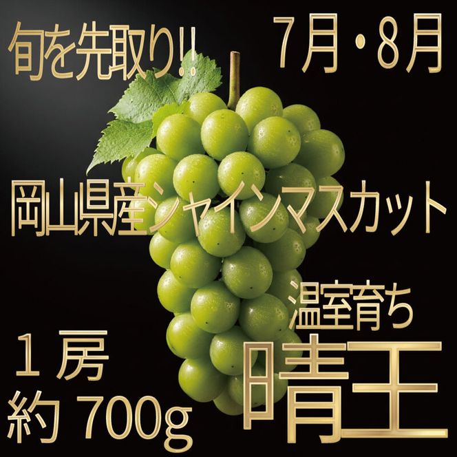 [HS]ぶどう先行予約7月・8月発送温室シャインマスカット晴王1房約700g ブドウ 葡萄  岡山県産 国産 フルーツ 果物 ギフト デザート 食後 酸味が少ない 産地直送