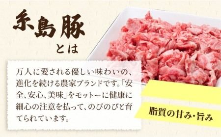 【全12回定期便】毎日のメインのおかずを彩る精肉セット 1,050g 2～3人前 4種《糸島》【糸島ミートデリ工房】 [ACA203]