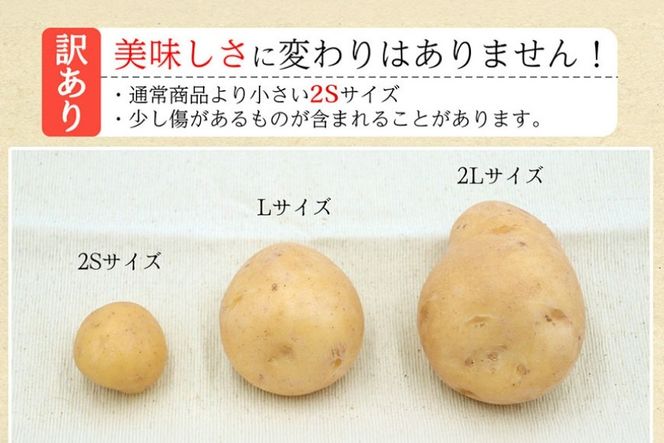 BH050 じゃがいも 訳あり ながさき黄金 出島 約5kg [ 野菜 訳アリ 芋 ジャガイモ 5キロ ほくほく 先行予約 常備野菜 国産 贅沢宝庫 長崎県 島原市 ]