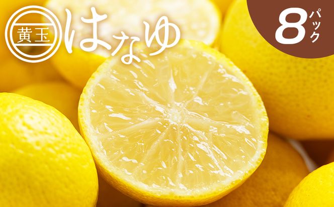 ゆず 【2026年11月以降順次配送】虎弥太郎 はなゆ黄玉 ８パック - 国産 ゆず 柚子 ユズ 花柚子 柑橘 香酸柑橘 果物 花皮果汁 フルーツ 果実 料理 酒 ハイボール 焼酎 アレンジ 焼き魚 小分け おすそ分け 高知県 香南市 冷蔵 hy-0003