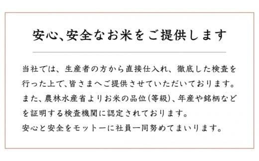 スピード発送!! 【 令和7年産 】 茨城県産 にじのきらめき 10kg ( 5kg × 2袋 ) 米 お米 コメ 白米 にじのきらめき 茨城県 精米 新生活 応援 新米 スピード配送 [DK021ci]