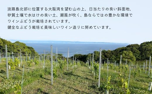 島薫るBlanc -デラウエア-　　[白ワイン]