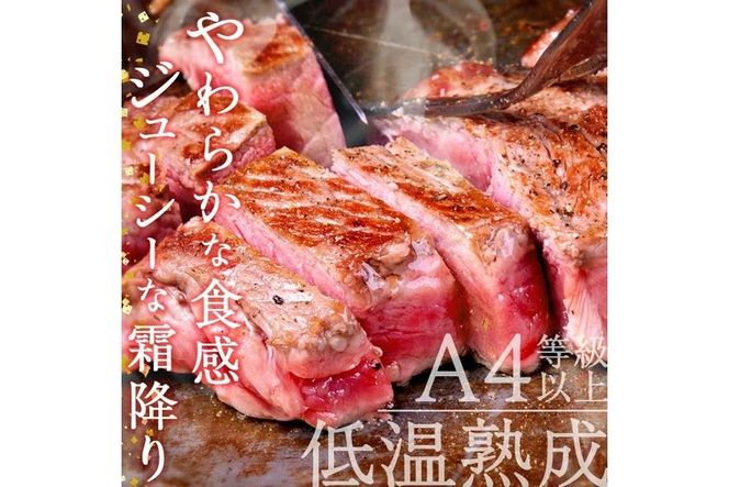 おおいた和牛 サーロインステーキ (計400g・サーロインステーキ約200g×2枚+ステーキソース20g×2袋) 国産 牛肉 肉 霜降り 低温熟成 ステーキ A4 和牛 ブランド牛 BBQ 冷凍 大分県 佐伯市【DH62】【(株)ネクサ】