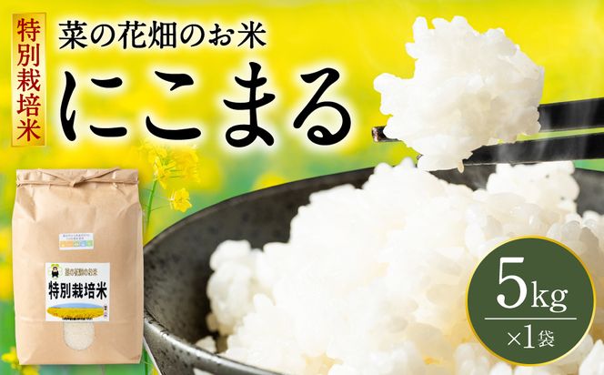 【令和7年産】 菜の花畑のお米 「特別栽培米」 5kg （5kg×1袋） にこまる 米 お米 精米 白米 ごはん ご飯 熊本