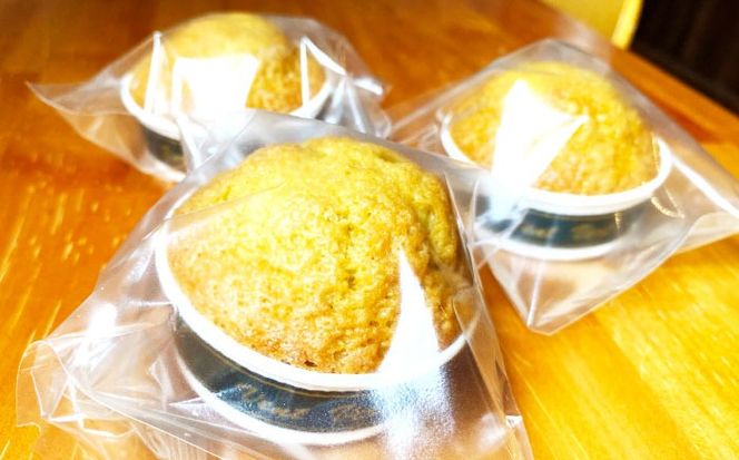 【地元産のオリーブ使用】 オリーブ の マドレーヌ 10個入り / 焼き菓子 焼菓子 スイーツ スペイン菓子 / 南島原市 / 吉田菓子店[SCT047]