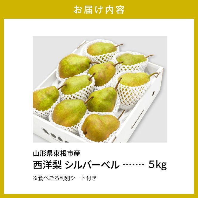 【令和6年産 先行予約】西洋梨シルバーベル5kg　秀品　化粧箱入り 山形県 東根市 東根農産センター提供 hi027-146