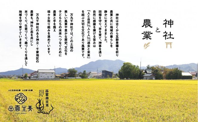 出雲神立米（きぬむすめ） 精米10kg（2kg×5袋） 322032_FW009