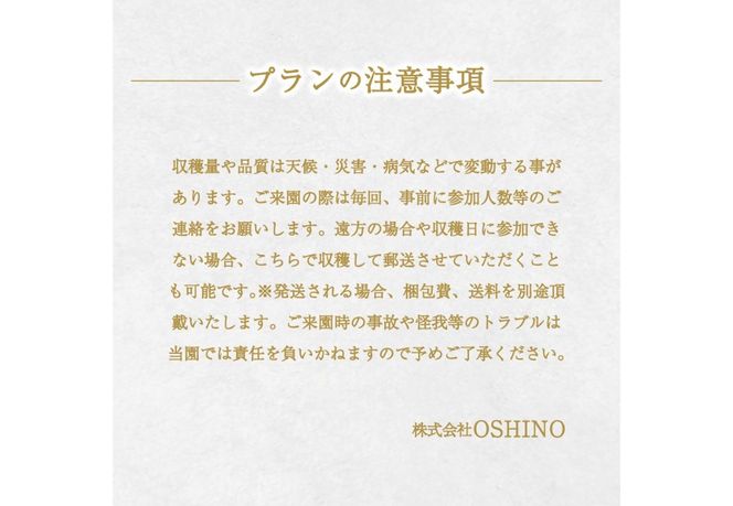 【ぶどうの樹 オーナー制度】シャインマスカット １シーズンオーナープラン(2022年植付け) 5房保証付き 栽培 収穫 体験 契約 ぶどう狩り 果物 フルーツ 山梨 富士吉田