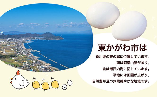 東かがわ市のたまごと焼きドーナツのセット「鶏卵Mサイズ（6個×2P）焼きドーナツ10個」 たまご 卵 鶏卵 ドーナツ 焼き菓子 セット